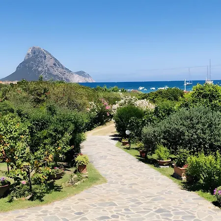 Trilocale Taverna 80 Mt